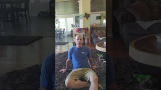 Hip Mobility