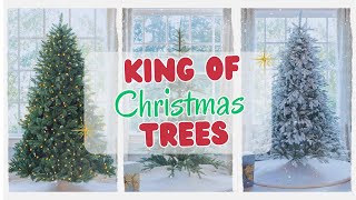 4 Best King Of Christmas Trees 2026