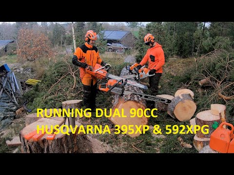 Cutting dual Husqvarna chainsaw 395XP & 592XPG + 3120XP |  Stihl 661 500i