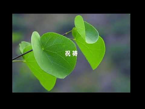 説教動画サムネイル