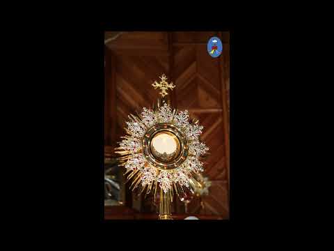 Pustelnia 26.03.2022 - Litania do Krwi Chrystusa i Koronka do Ran Chrystusa