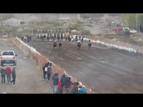 CALLEJERO FINO Cub Hípico Añelo, Domingo 31 de Agosto de 2025