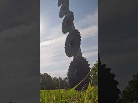 NLS Helicopter Services Tree cutting