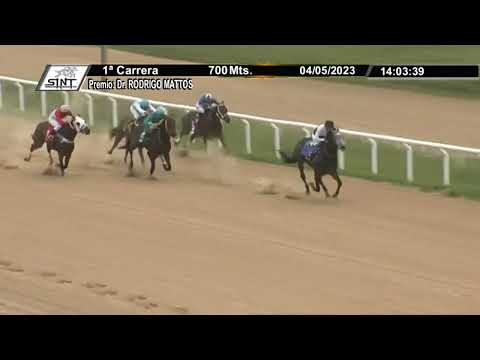 SINT MELO - 230504 c01 1° CASUAL