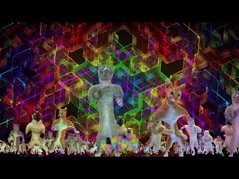 UON VISUALS DANCING CATS - SHAMBHALA 2019 MIX