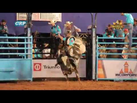 Touro DESTROYER - Ribeirão do Sul 2017