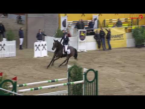 Jugend-Challenge Verden 2018 - Springprüfung Kl. S**  mit Stechen - Beeke Carstensen und Cara Mia