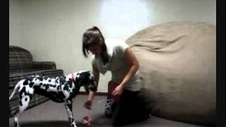 Hoopes we did it again!