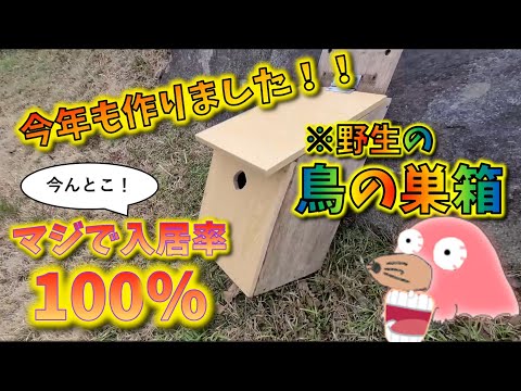 コマドリの巣箱を簡単に作る方法は？知っておくべきことはすべて！  庭園