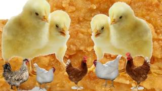 Azealia Banks - CROWN (lyric video)