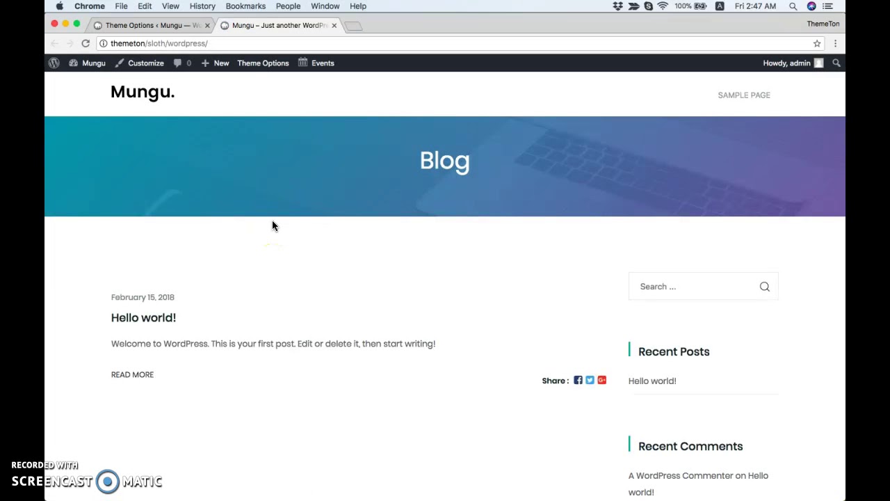Theme Options: Lagom WordPress Theme