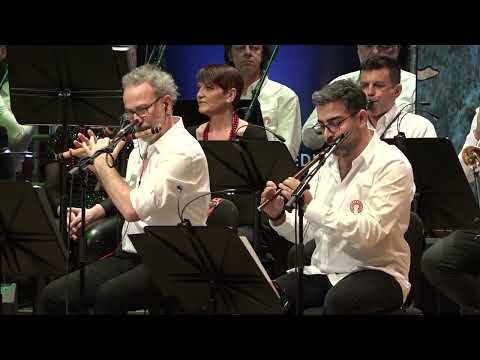 ROMA: THE FORCE OF NATURE (SKOPJE 2024)