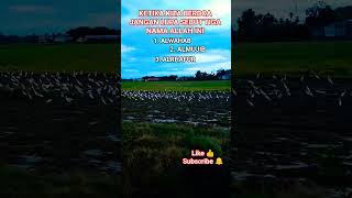 Download lagu JIKA KITA BERDOA JANGAN LUPA SEBUT 3 NAMA ALLAH INI,#masyaallah#shotrs#islamicstatus #kisahislami β€οΈ mp3 Download lagu JIKA KITA BERDOA JANGAN LUPA SEBUT 3 NAMA ALLAH INI,#masyaallah#shotrs#islamicstatus #kisahislami β€οΈ mp3