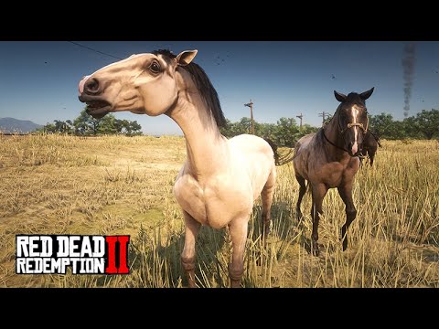 Taming horses across the map - JACK THE YOUNG TAMER - Red Dead Redemption 2