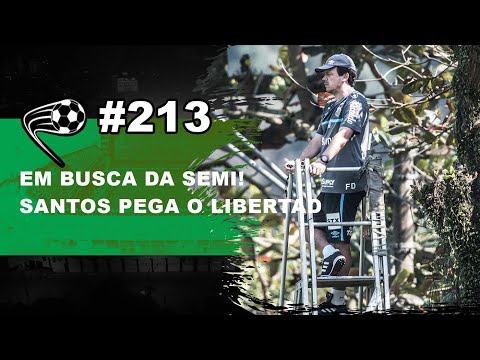 Santos busca vaga nas semifinais da Sula