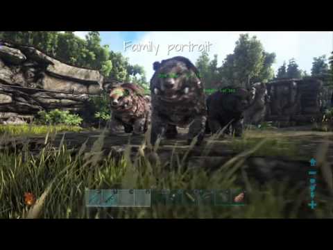 Dire Bear breeding Ark survival evolved PS4