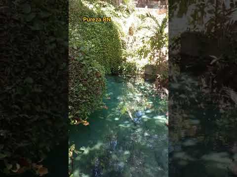 Pelas trilhas do RN.  Pureza