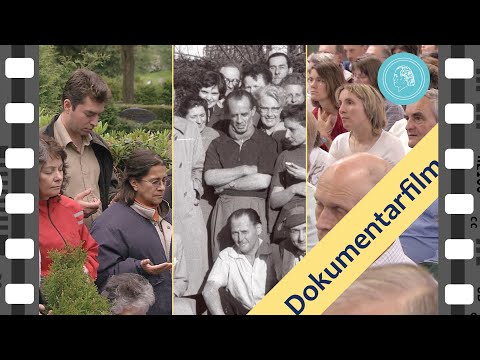 THE PHENOMENON OF HEALING - Online Film Premiere