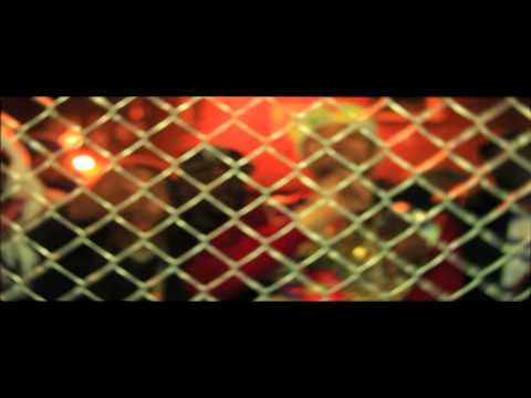 CHYNO ft BURNA and YOUNGBEZEL - 10k