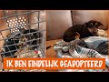 IK WIL EEN HOND ADOPTEREN! | DierenpraatTV