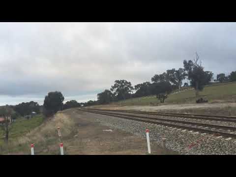 SSR yellow rake grain train