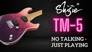 Video thumbnail for Shijie TM-5 (a better choice than Ibanez AZ? Charvel DK24? Suhr Modern?) by DG Sessions