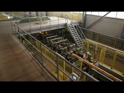 EWD Sägetechnik Bandsägetechnik Sägewerk Sudoma Sägewerk 2020