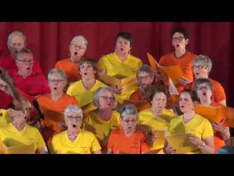 2019   Des Cornouailles à l'Oural