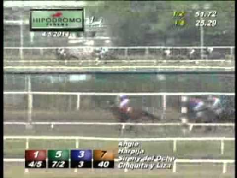 1RA CARRERA SABADO 5 DE ABRIL 2014 HPR