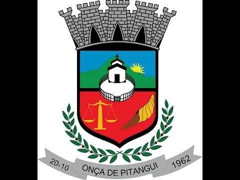 Reunião da Câmara de Onça de Pitangui - 12/05/2026