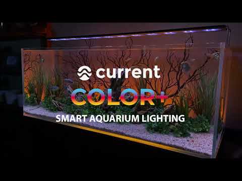 Aquatic Vita