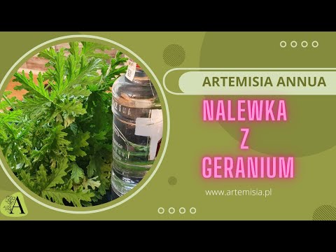Nalewka Z Geranium