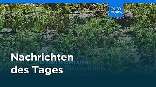 Nachrichten des Tages | 1. September 2026 - Mittagsausgabe