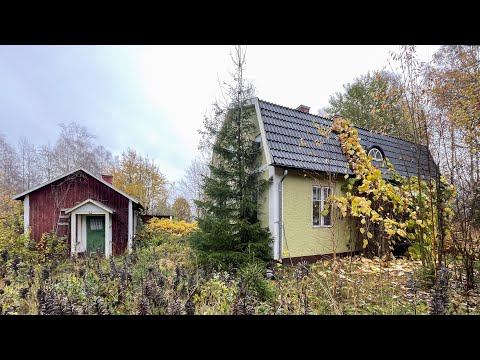 Completely Untouched Abandoned Tiny House in the Swedish Countryside!