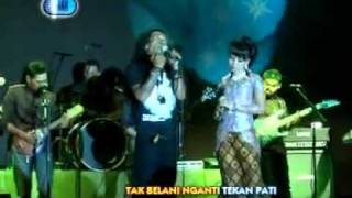 Download lagu Tresno sudro - Dwi ratna. mp3