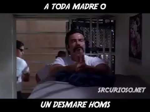 Sangre por sangre a toda madre o un desmadre