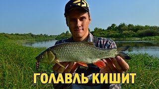 Ссылка