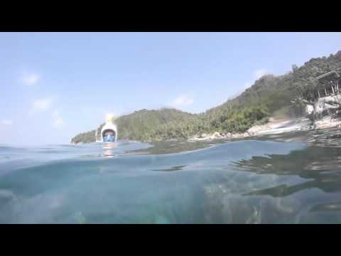 Nelu Koh Tao Snorkeling - Mango Beach