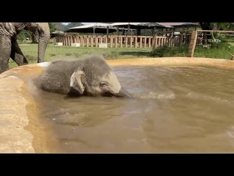 Baby Pyi Mai in the pool 🥰- EleFlix