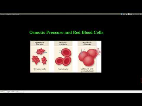 Chem143 Colligative Properties