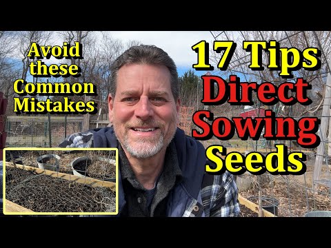 17 Tips for Direct Sowing Seeds in Your Vegetable Garden (Simple Mistakes to Avoid)