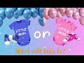 Baby Gender Reveal Boy Or Girl Background Backdrop