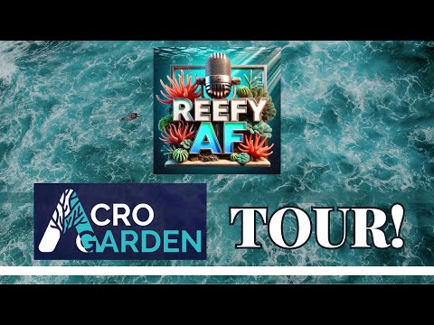 Reefy AF - Dong Zou - Acro Garden Tour!