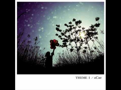 aCae -  木について - About the Tree -