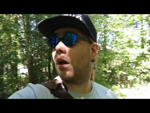 Nyt on päivä pulkassa ja hetken kuluttua kauppaan