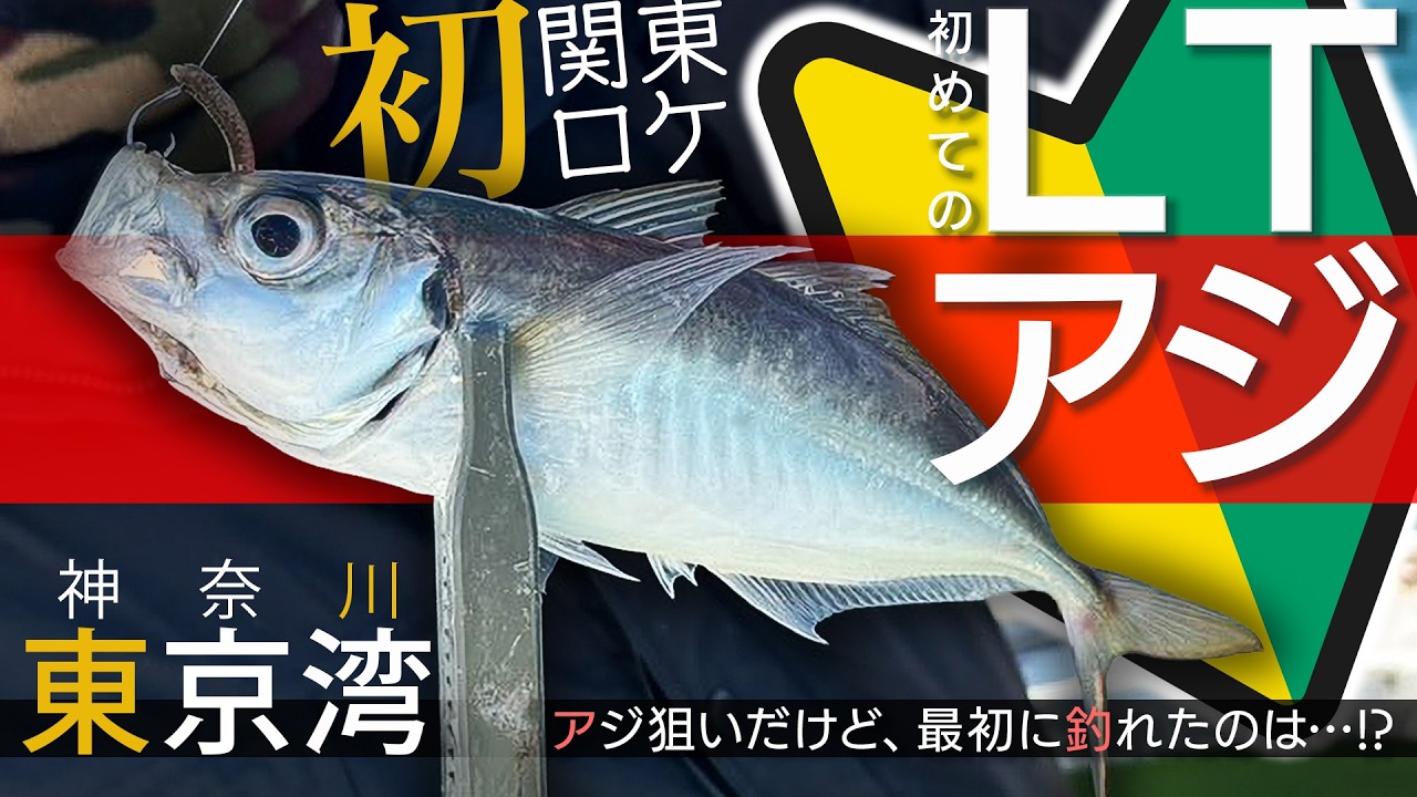 【東京湾/太田屋】関東一のアジ釣り船でLTアジに挑戦したら第一精工商品が大活躍しました！