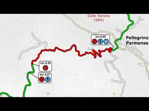 Cameracar Rally Salsomaggiore 2018 Nicoli Cavaciuti Ps 6 [HD]