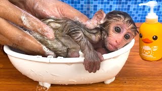 Baby monkey Bon Bon bath in the bathtub and playin