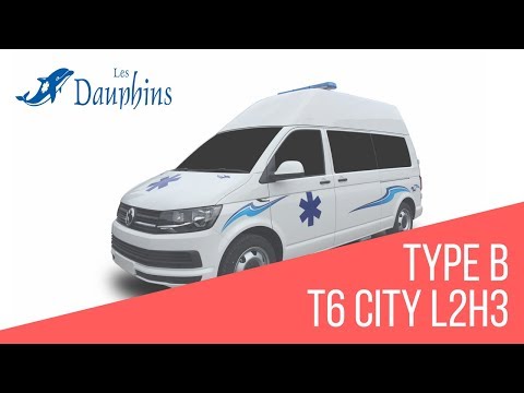 Les Dauphins, Présentation  T6 L2H3 Type B