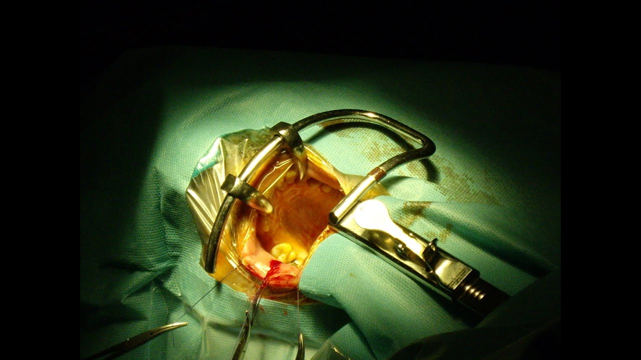 José Ángel Gómez Pascual-41